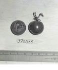 Click for 1 image(s) for this accession. FRUIT